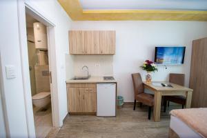 a kitchen with a sink and a table with a toilet at Apartment Sofija in Budva