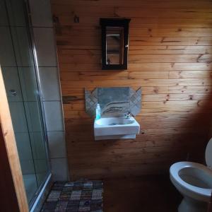 a bathroom with a sink and a toilet at Cozy Wood Cabin in Pretoria