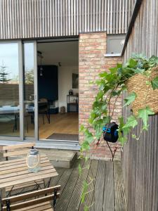- un patio avec un banc en bois et un bâtiment en briques dans l'établissement Le 39 Espace Cocoon, à Namur