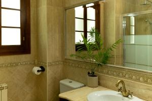 een badkamer met een wastafel, een toilet en een spiegel bij Alojamiento Turístico Fuente del Rey in Priego de Córdoba