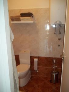 a small bathroom with a toilet and a shower at Apartment Silva in Opatija