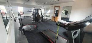 The fitness centre and/or fitness facilities at Hotel Farma Vysoká