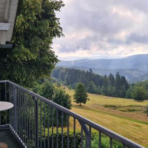 a balcony with a view of a field and mountains at Pension Breitenborn in Masserberg