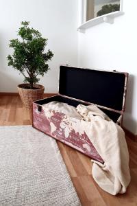 a suitcase sitting on the floor next to a plant at Bright and modern apartment in the heart of Altstätten in Altstätten