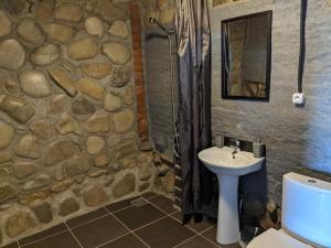 a stone bathroom with a sink and a toilet at Vasanna in Kosiv