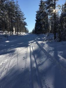 Torp i Svenneby v zimě