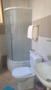 y baño con ducha, aseo y lavamanos. en Vila club 011, en Dedinje