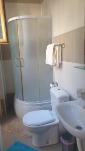 a bathroom with a shower and a toilet and a sink at Vila club 011 in Dedinje