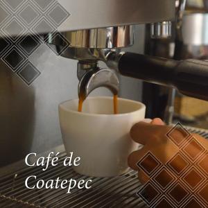 Fotografie z fotogalerie ubytování Hotel San José Plaza Coatepec v destinaci Coatepec