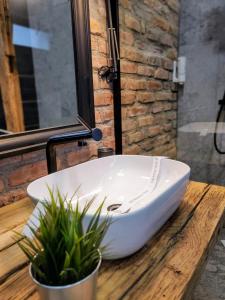 un lavabo blanc assis sur une table en bois avec des plantes dans l'établissement Casa Larisa Apartments, à Sinaia