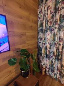 Fotografia z galérie ubytovania LUX Apartament ODKRYJ - BIESZCZADY v destinácii Ustrzyki Dolne