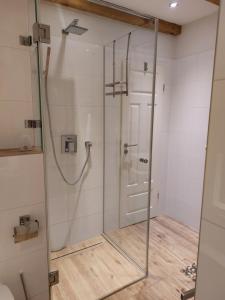 a shower with a glass door in a bathroom at Ferienhaus in Bernau bei Berlin in Bernau bei Berlin