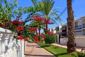 A garden outside Casa Makis