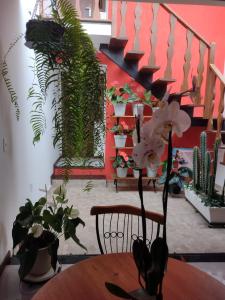 um quarto com uma mesa com vasos de plantas e escadas em Loft Colibri Mucugê em Mucugê