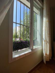 Vonkajšia záhrada v ubytovaní Casa Abuelo Juan - Benaocaz- 2 dormitorios