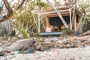 Fotografie z fotogalerie ubytování Wilson Island v destinaci Wilson Island