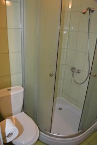 a bathroom with a toilet and a shower at Viesu nams Klāņas in Engure +14 photos