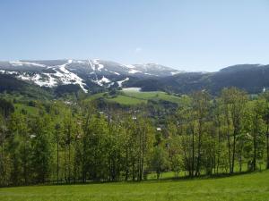 Príroda v okolí apartmánu