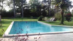 a large swimming pool in a yard with trees at Domaine de Bellevue CHAMBRE D'HÔTES in Beaumes-de-Venise