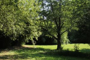 Ein Garten an der Unterkunft Au Petit Bernerot - Les gîtes de l'Arbre Voyageur