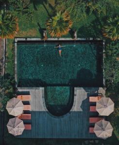an overhead view of a swimming pool with umbrellas at Arma Museum & Resort, CHSE Certified in Ubud