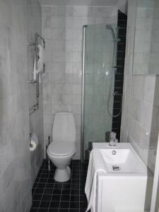 uma casa de banho com um WC, um chuveiro e um lavatório. em VillaVega Apartments em Lund