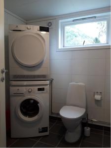 y baño con lavadora y aseo. en An authentic experience in picturesque Eidfjord, en Eidfjord