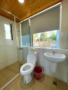 a bathroom with a toilet and a sink at 虎山哩賀 Hello-Hu Shan in Rende