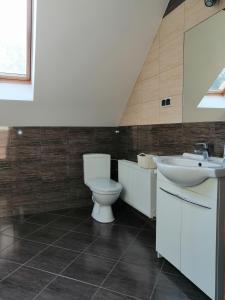 łazienka z toaletą i umywalką w obiekcie Apartament Mysłakowice w mieście Mysłakowice