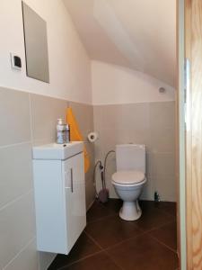 Łazienka w obiekcie Apartament Mysłakowice