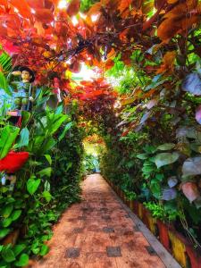 a garden tunnel with colorful flowers and plants at Bella Villa Luxury Stay in Panaji
