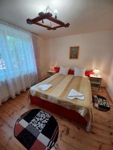 a bedroom with a large bed and a large window at Casa Pandrea in Cîrţişoara