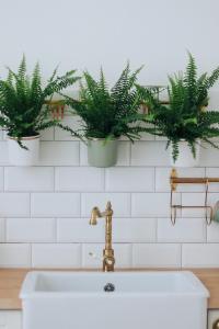 uma casa de banho com vasos de plantas na parede em Lechner4 Residence em Szeged