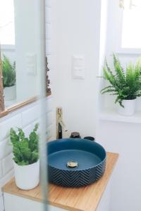 a bathroom with a blue sink and two potted plants at Lechner4 Residence in Szeged