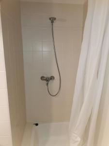 a shower with a shower head and a shower curtain at Hornbrooker Hostel in Dersau