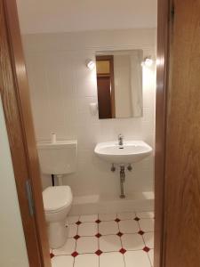 a bathroom with a toilet and a sink at Hornbrooker Hostel in Dersau