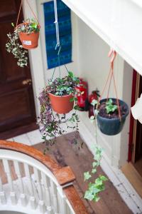 Giardino di Netherbrae