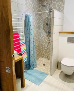 a bathroom with a shower with a blue shower curtain at La Sabaudia in Saint-Pierre-dʼEntremont