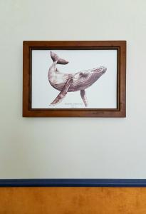 Gambar di galeri bagi Terre en Vue di La Rochelle