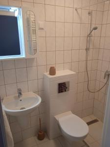 Diókert Vendégház Sopron في شوبرون: حمام مع مرحاض ومغسلة ودش