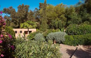 einen Garten mit Pflanzen und Bäumen und ein Gebäude in der Unterkunft Dar Maktoub in Agadir