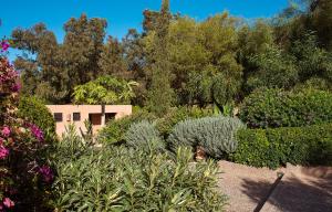een tuin met planten en bomen en een gebouw bij Dar Maktoub in Agadir