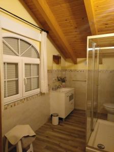 a bathroom with a toilet and a sink and a shower at El Mirador de Cercedilla - Nueva Apertura in Cercedilla