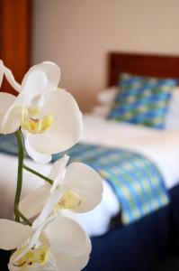 a close up of a white orchid in front of a bed at Heights Hotel in Portland