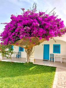 a tree with pink flowers on top of a building at Antichi Mulini in Favignana
