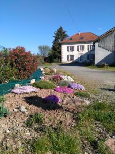 um jardim com flores ao lado de uma estrada em Les Chambres d Odile em Lachapelle-sous-Chaux