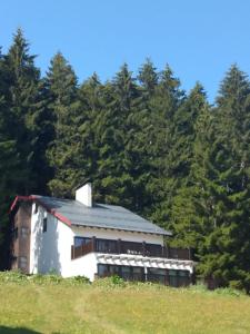 ein Haus auf einem Hügel mit Bäumen im Hintergrund in der Unterkunft North Chalets in Giresun