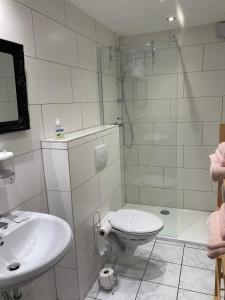 ein Bad mit einer Dusche, einem WC und einem Waschbecken in der Unterkunft Mikroapartments Klarenthal in Saarbrücken