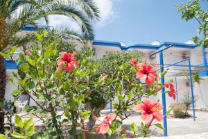 Gallery image of Maritsa in Kefalos