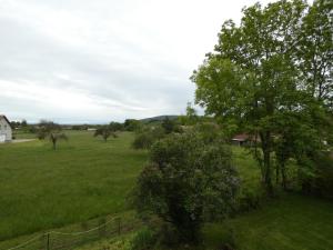 a field of green grass with trees and a house at Les Chambres d Odile in Lachapelle-sous-Chaux